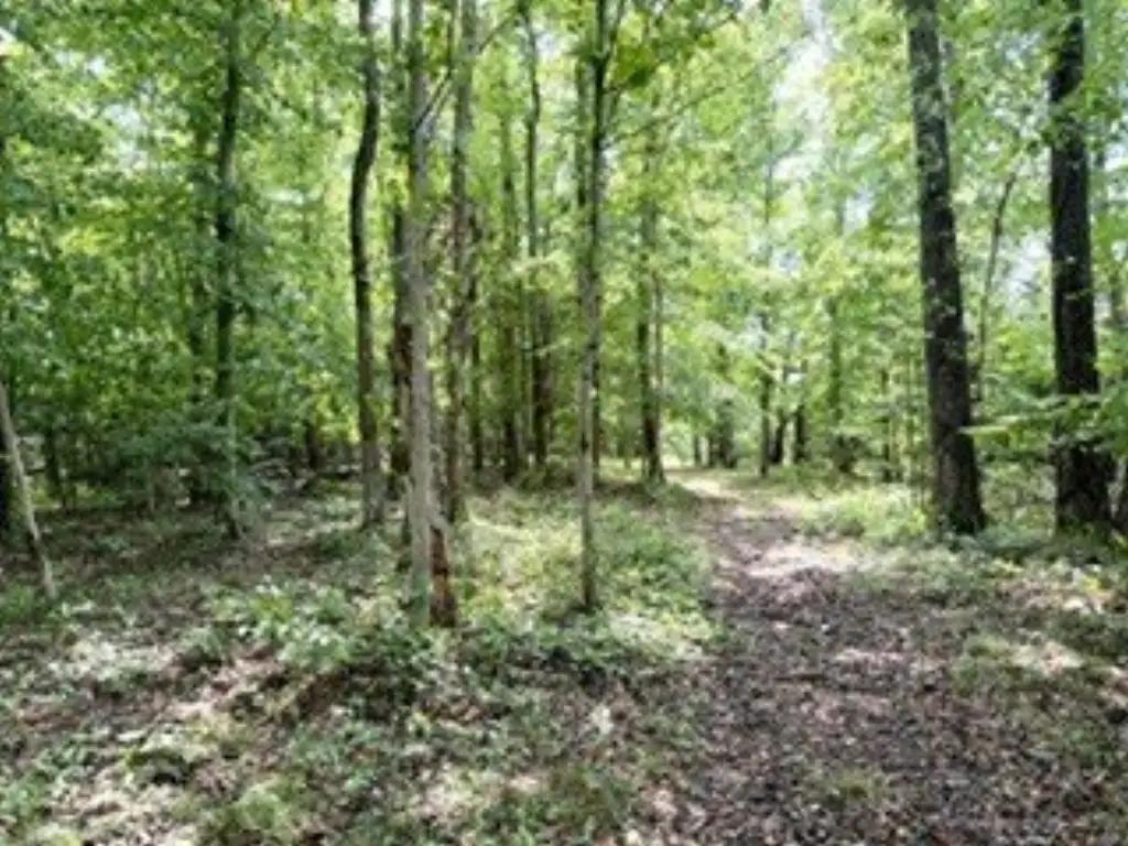 Picture 27