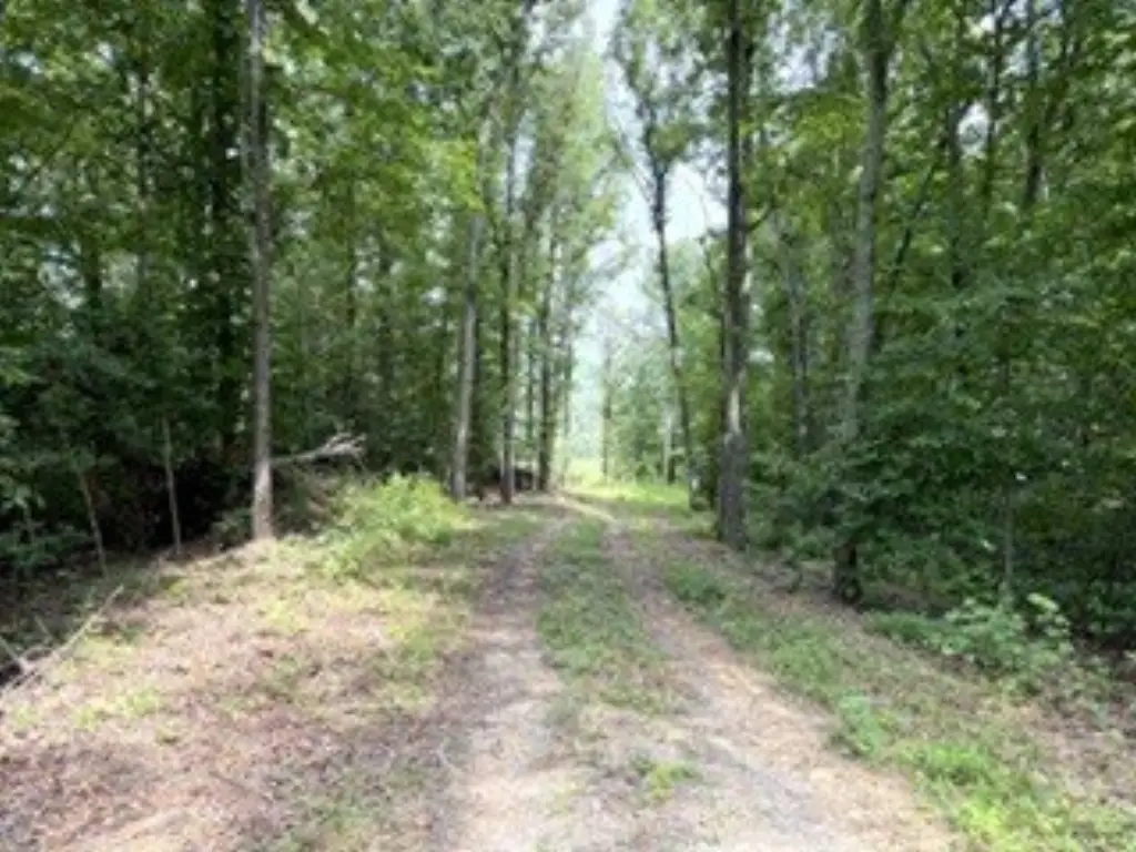 Picture 15