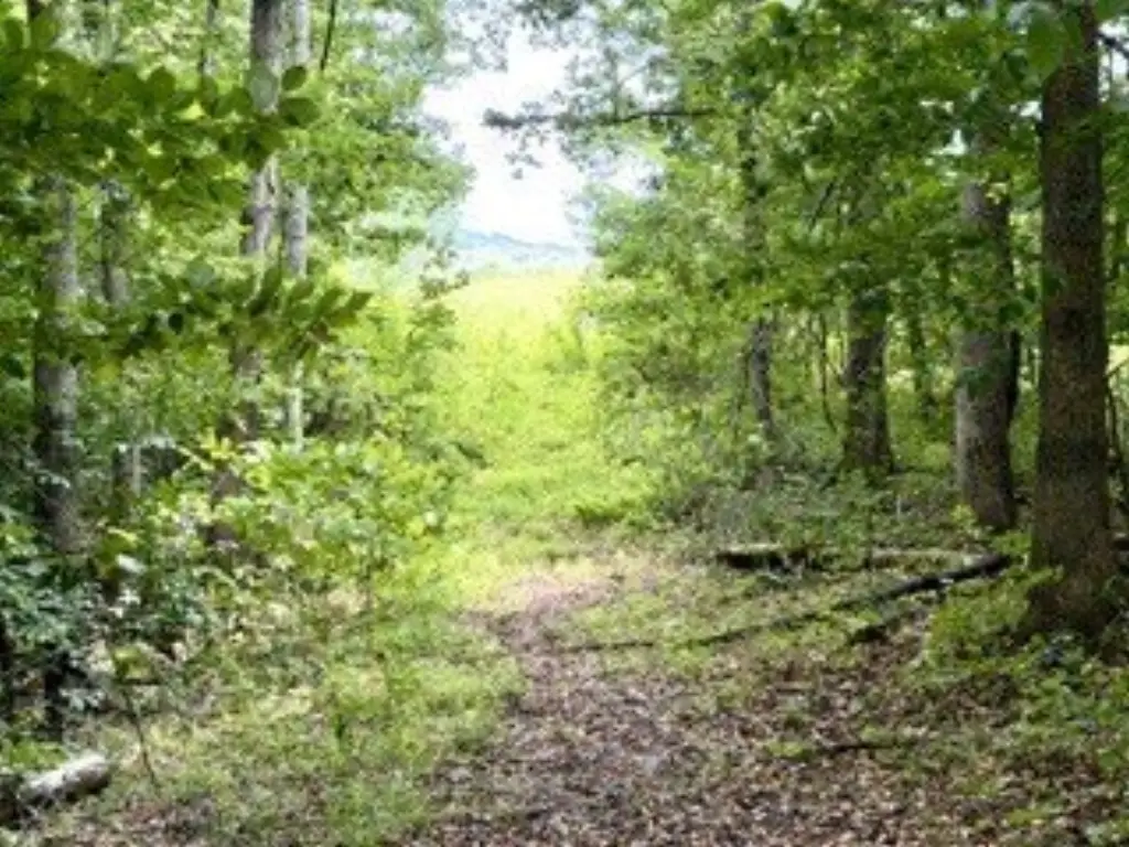Picture 26