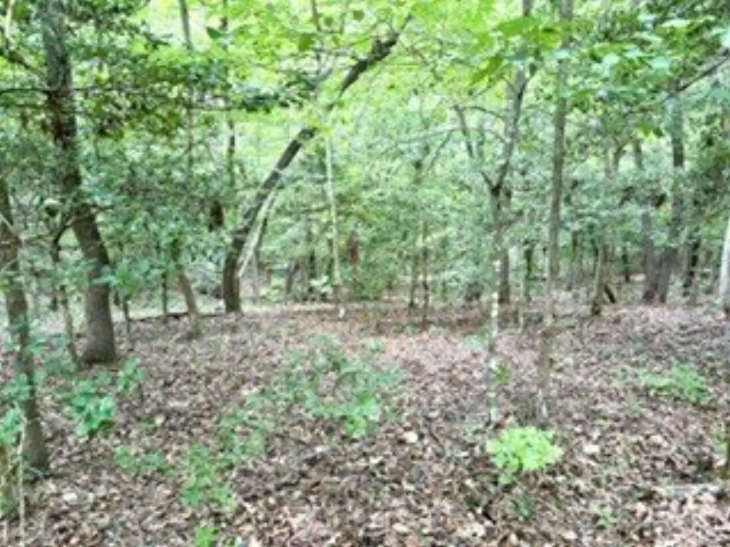 Picture 38