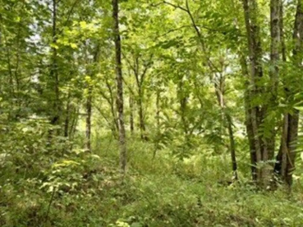 Picture 21