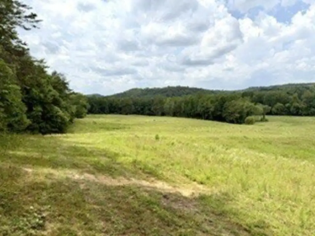 Picture 17