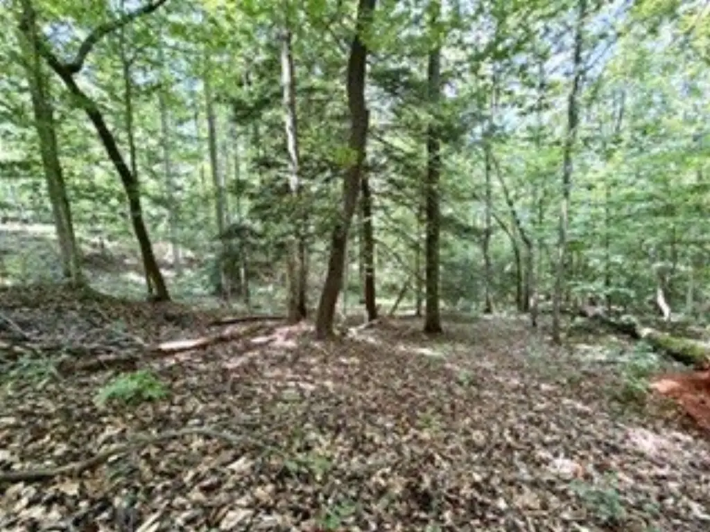 Picture 40