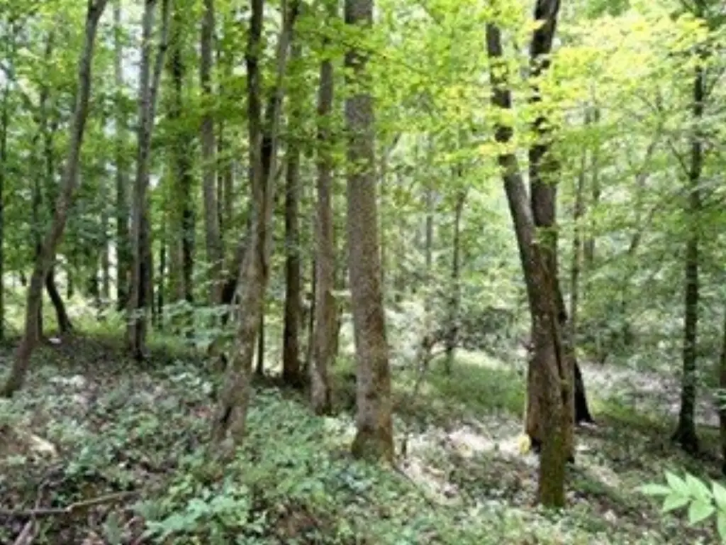 Picture 22