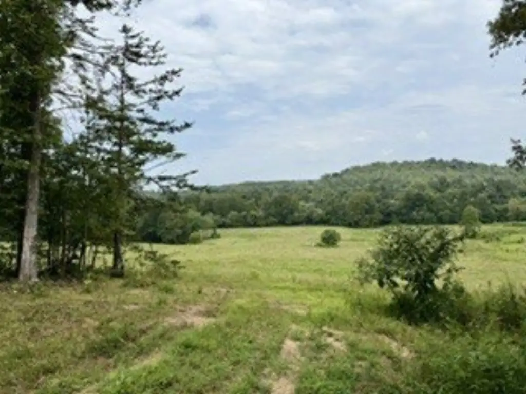 Picture 16