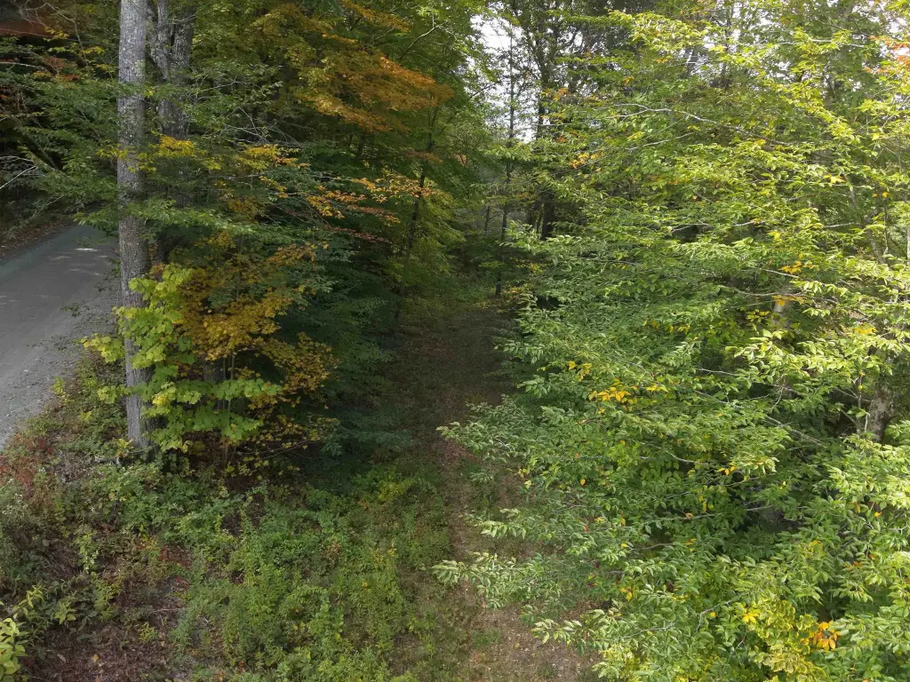Picture 19