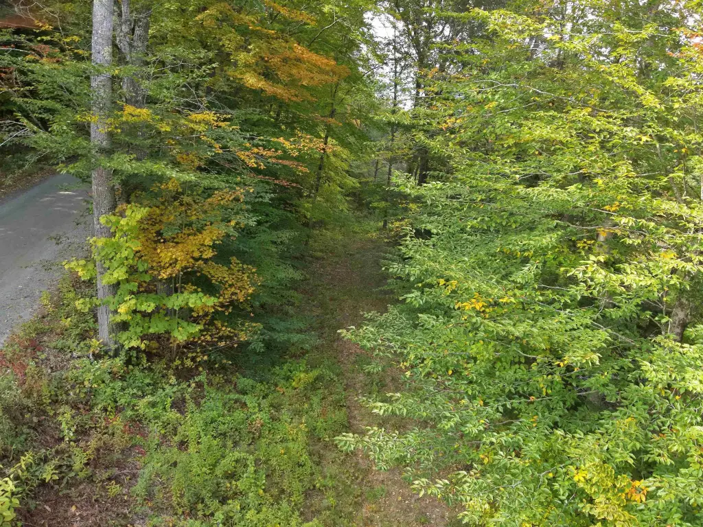 Picture 18