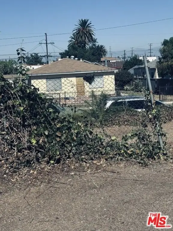 Picture 48