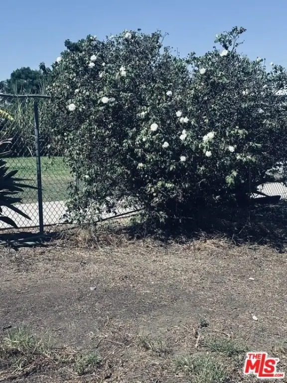 Picture 47