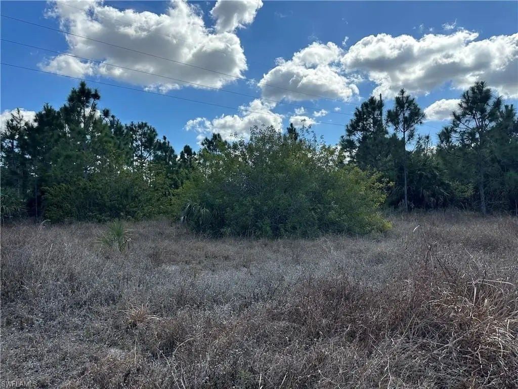 Picture 4