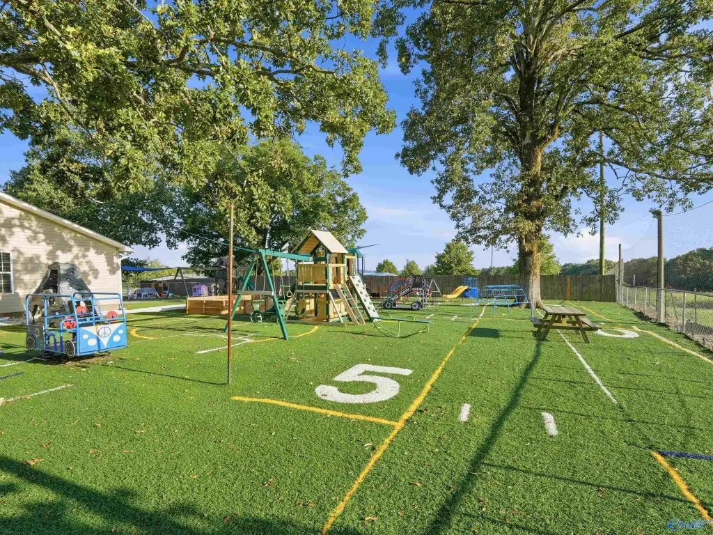 Picture 17