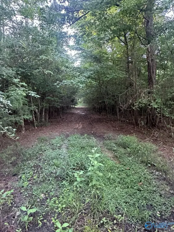 Picture 2