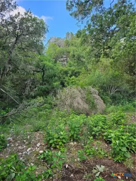 New Braunfels 20 Acre Land