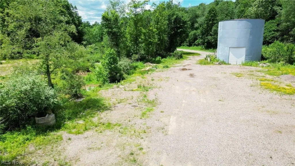 Picture 6