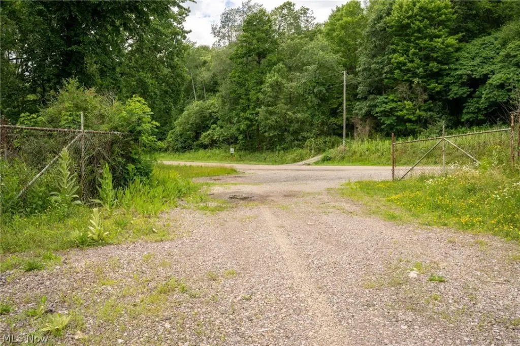 Picture 9