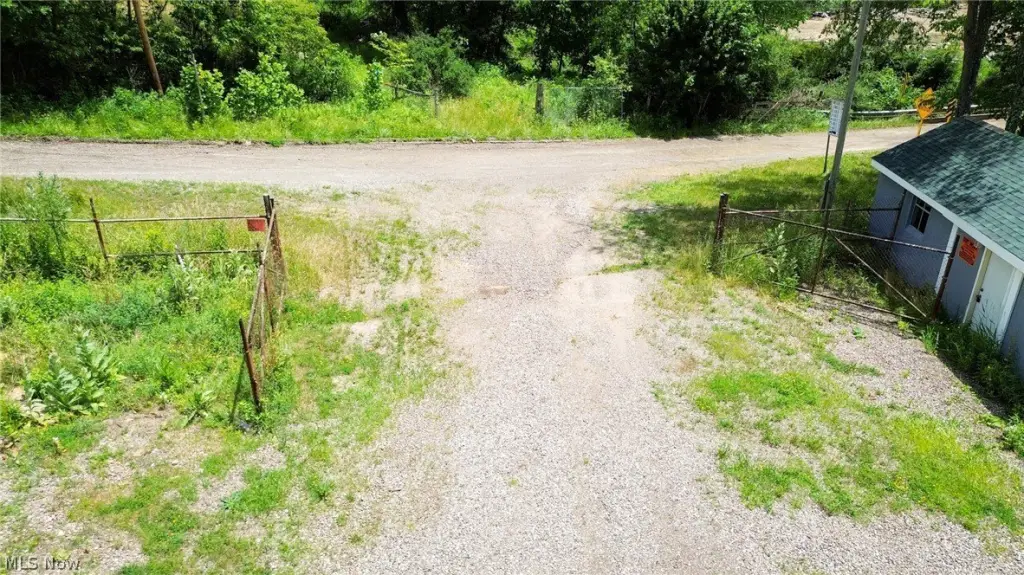 Picture 8