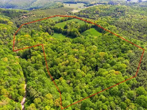 Open-Pasture Agricultural Land