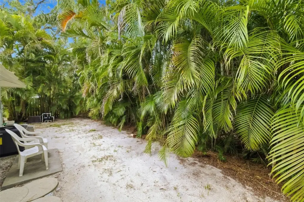 Picture 25