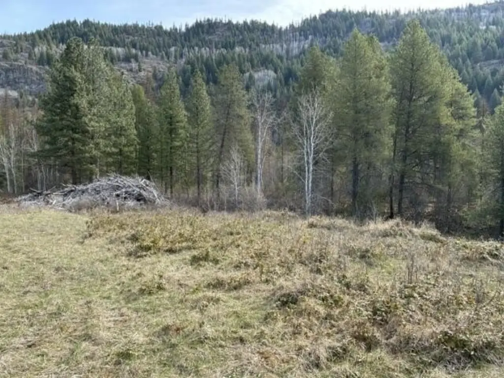Picture 3