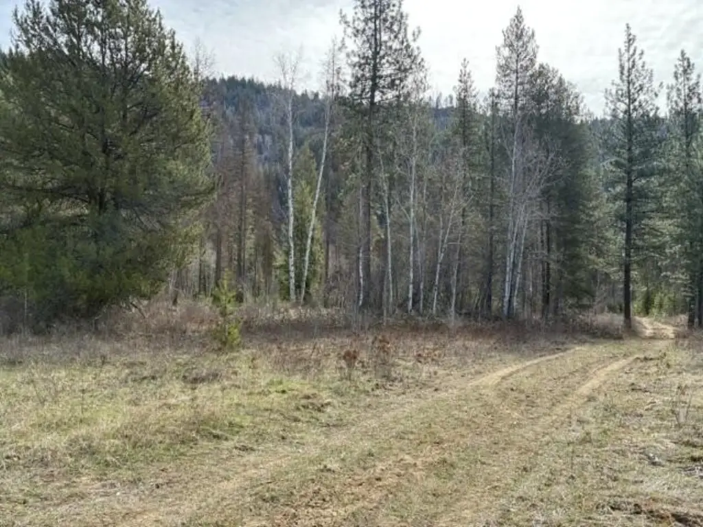 Picture 10