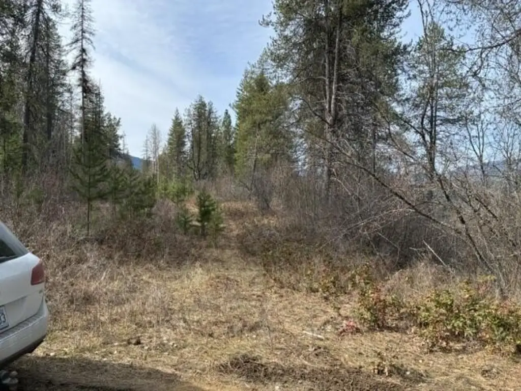 Picture 6