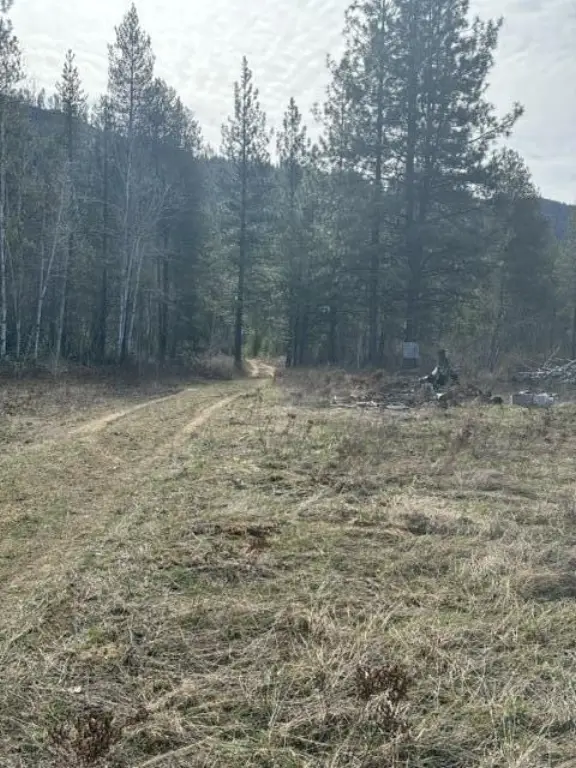 Picture 11