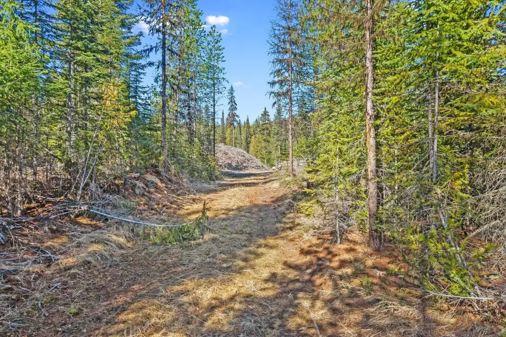 Picture 4