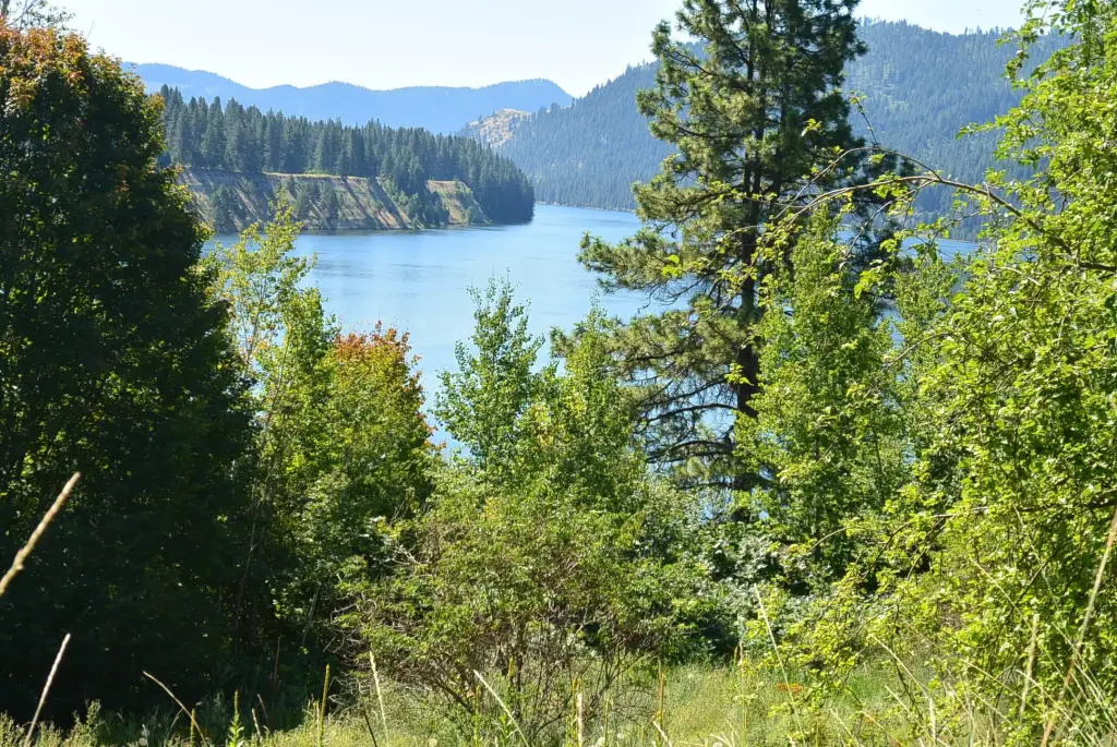 Picture 9