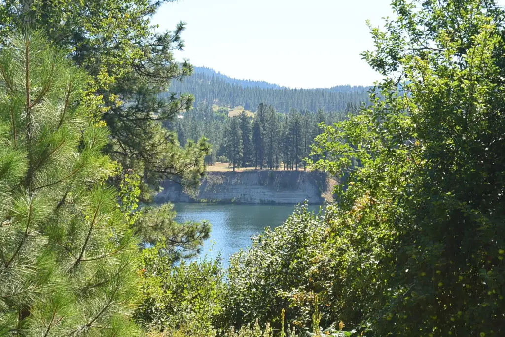 Picture 4
