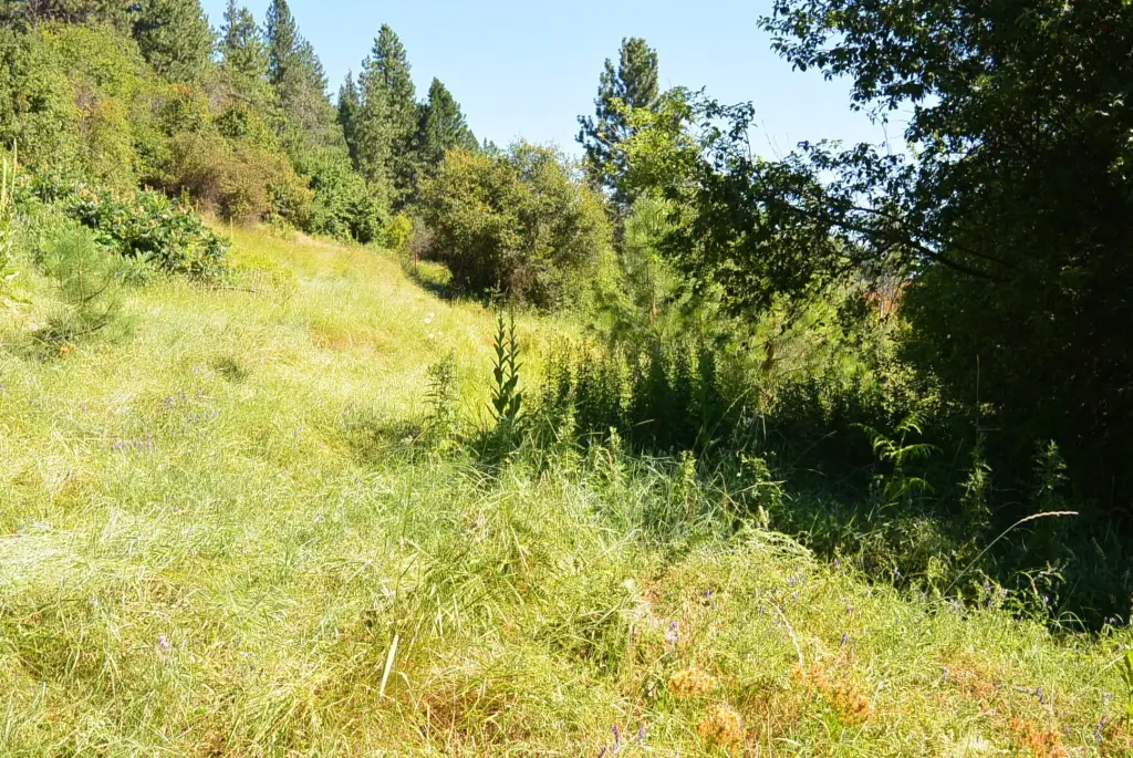 Picture 12