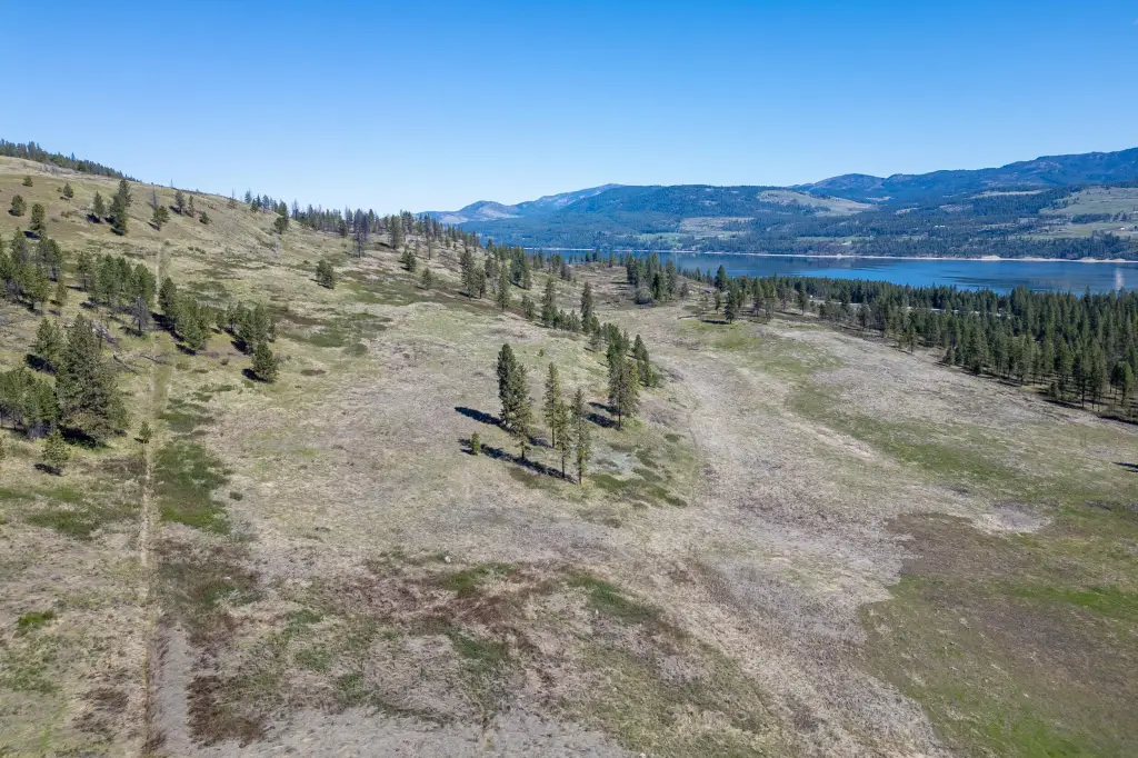 Picture 7