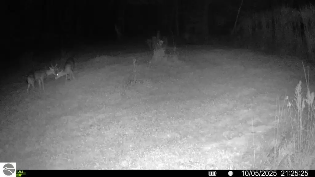 Picture 26