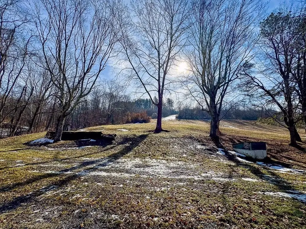 Picture 28