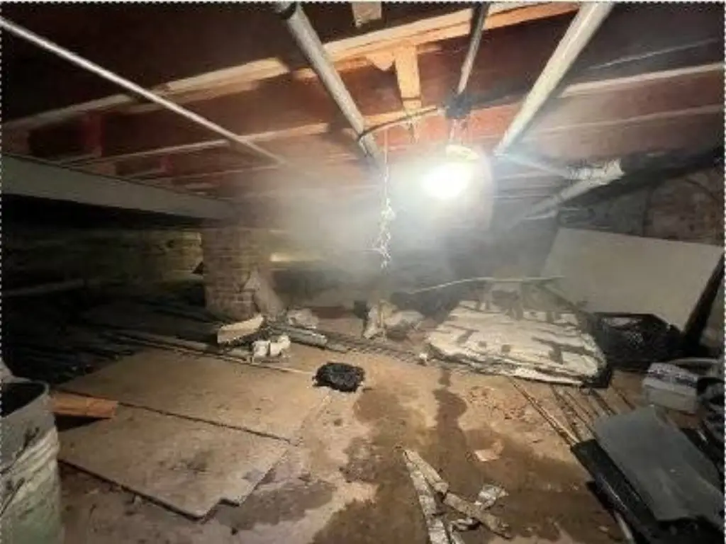 Picture 18