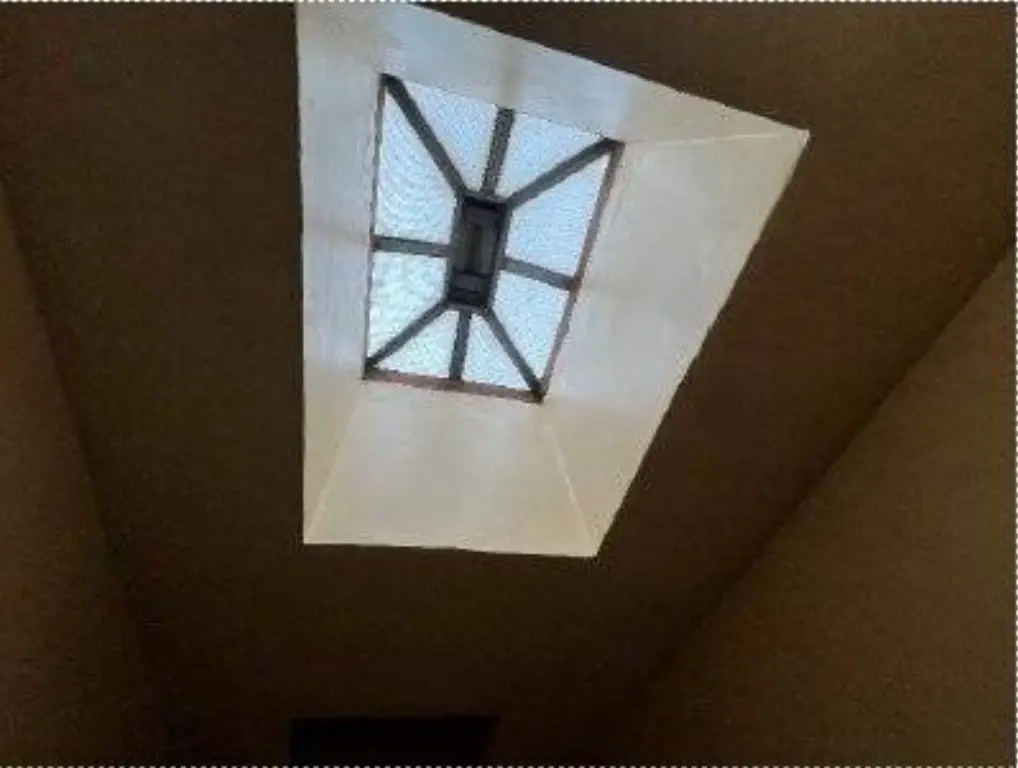 Picture 11