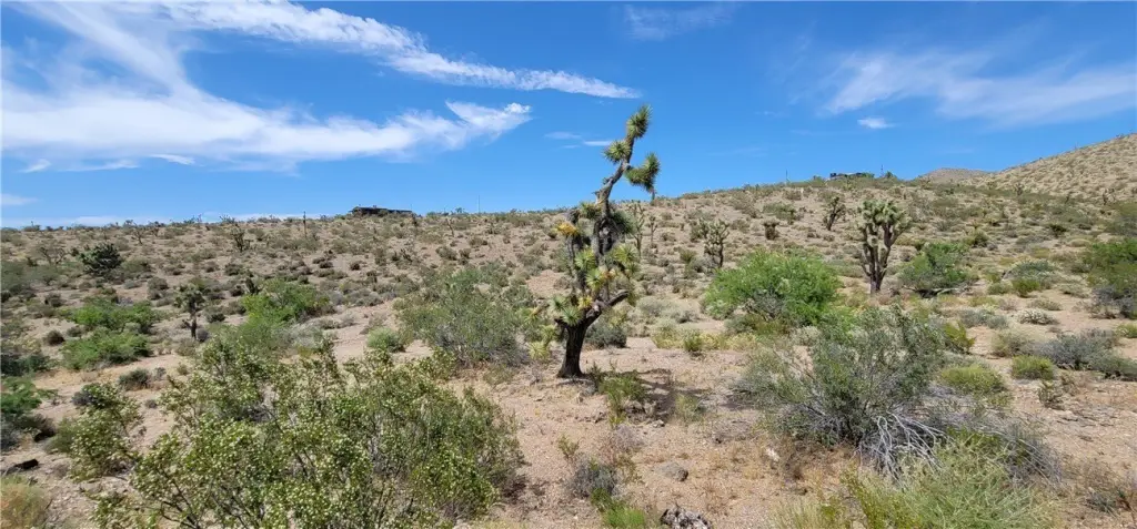 Picture 19
