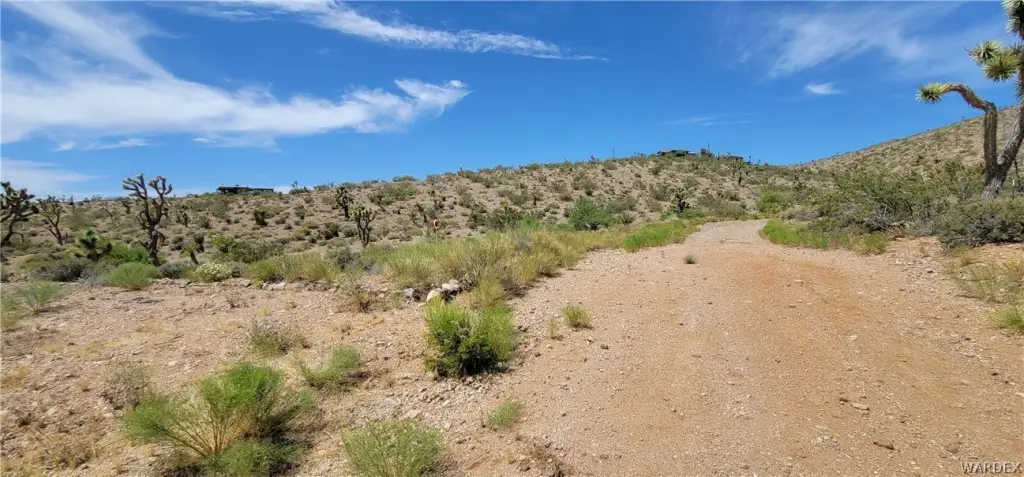 Picture 12