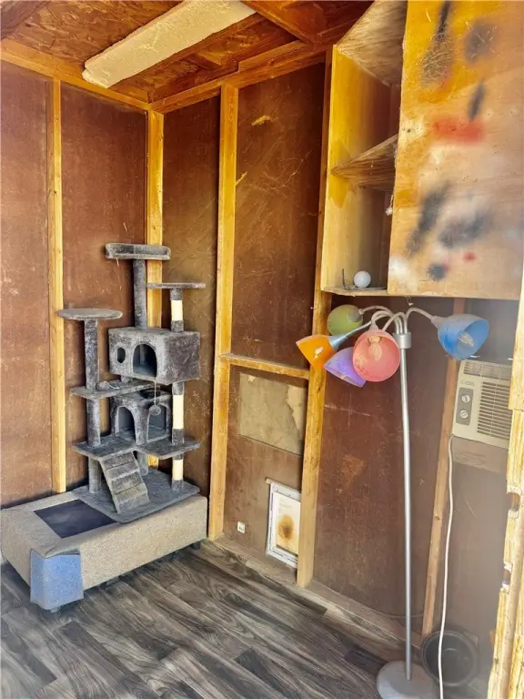 Picture 10
