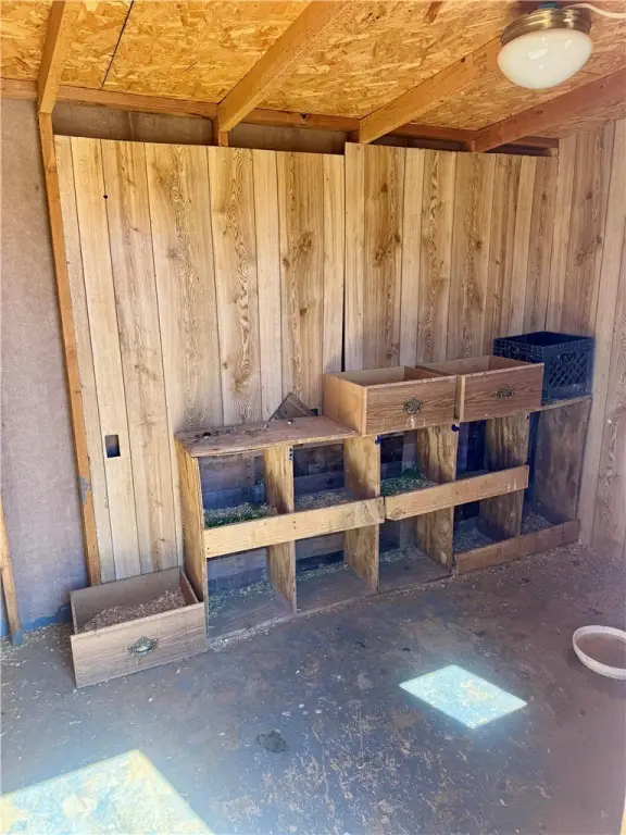 Picture 15