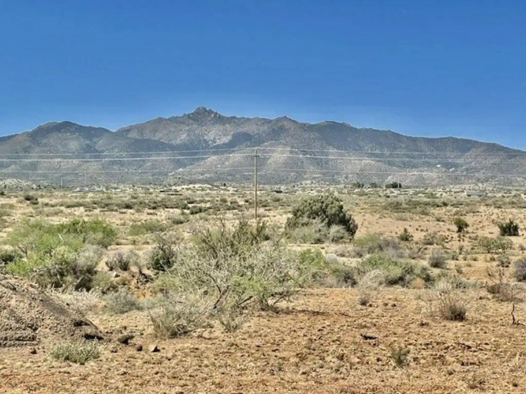 Picture 18