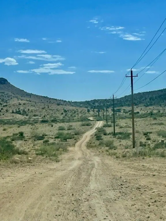 Picture 6