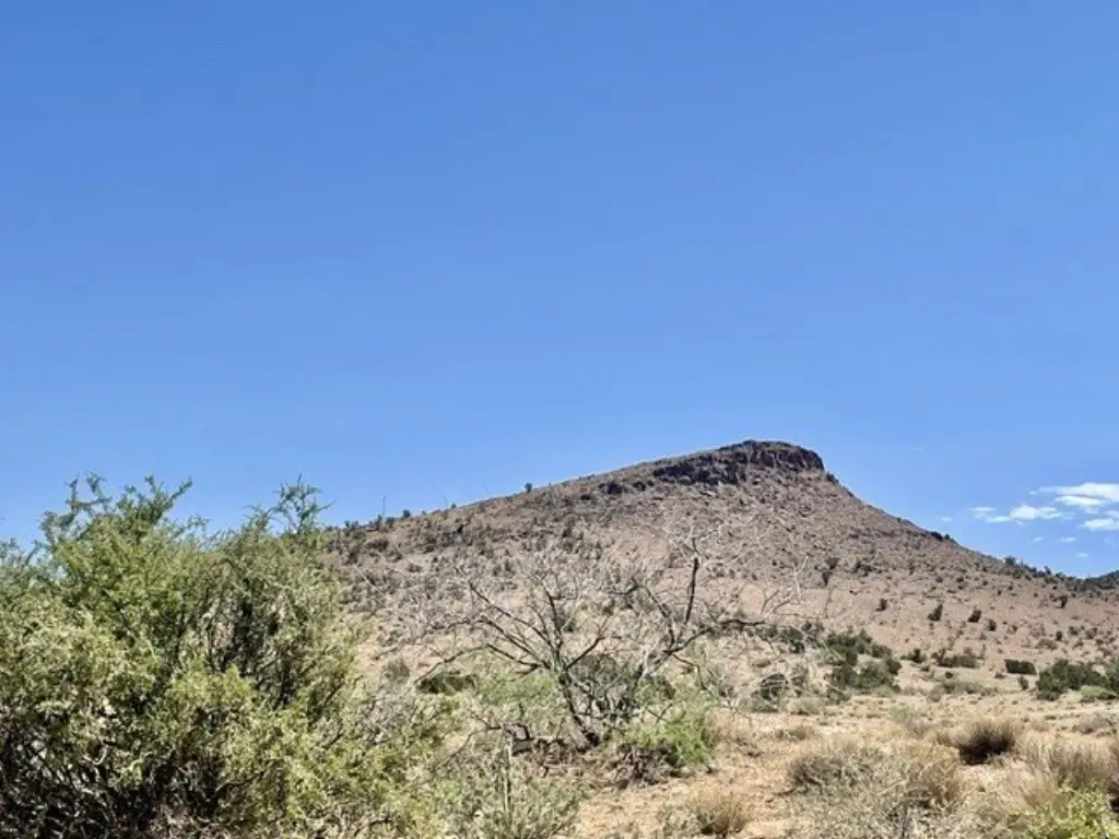Picture 17