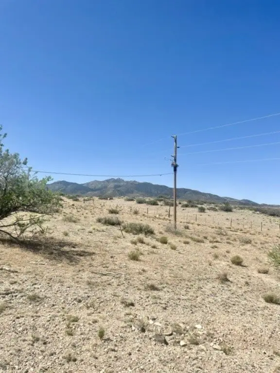 Picture 5