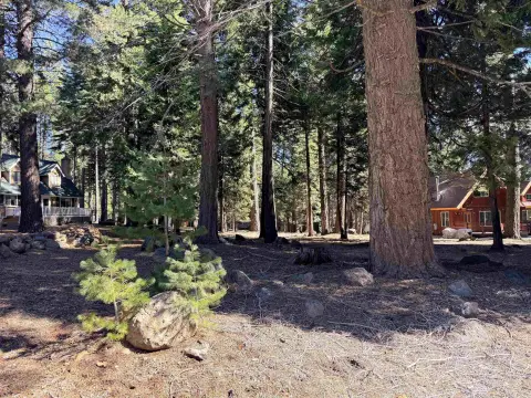 Lake Almanor Level Lot