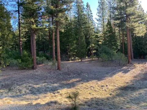 Grizzly Ranch Vacant Lot