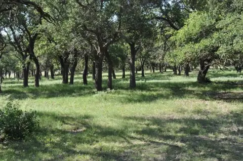 Harper Ranch Land with Development Potential
