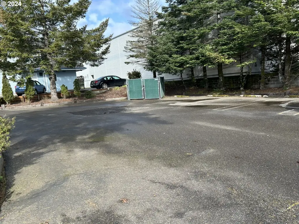 Picture 13