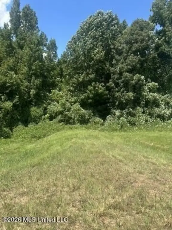 Picture 4