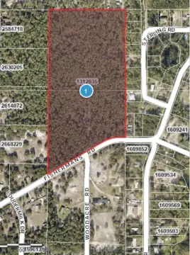 Residential Land in Paisley, Florida