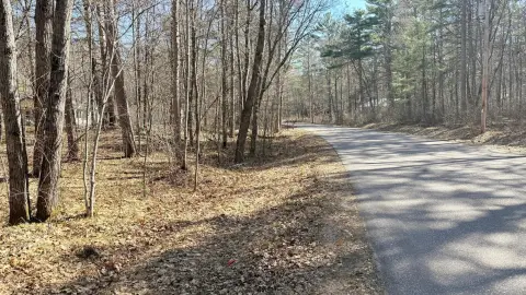 Wooded Lot in St Germain
